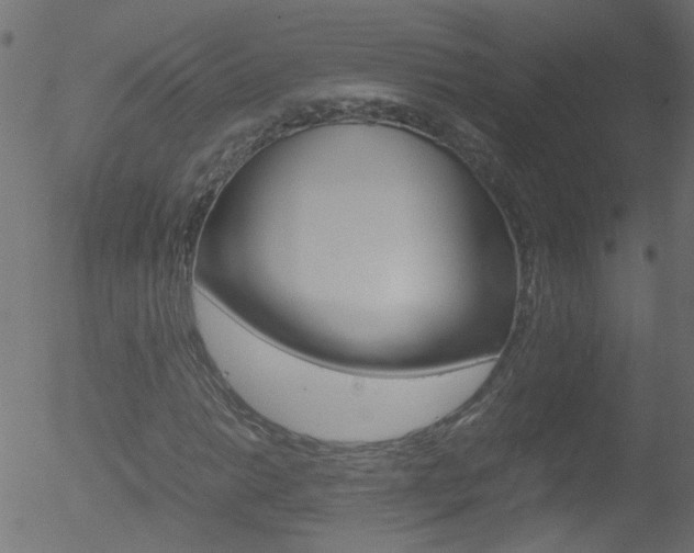 X0000052601014200507010908