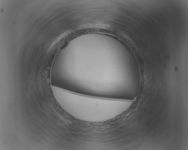 X0000052601064200507010908