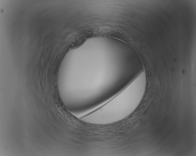 X0000052601153200507010906