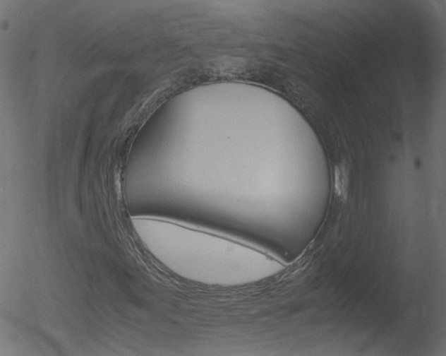 X0000052601155200507010906