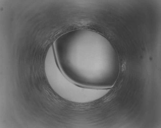 X0000052601156200507010906
