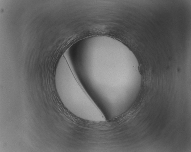 X0000052601201200507010905