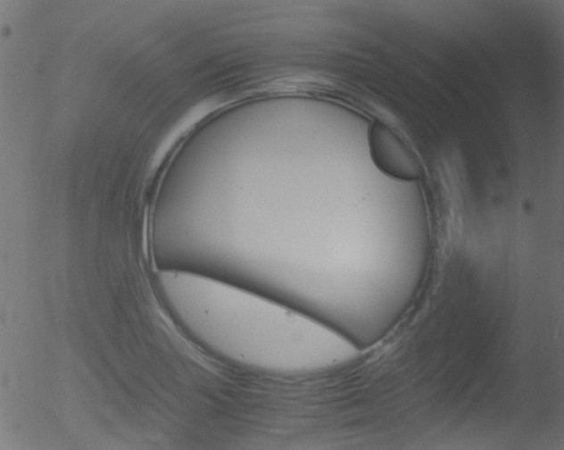 X0000052601227200507010905