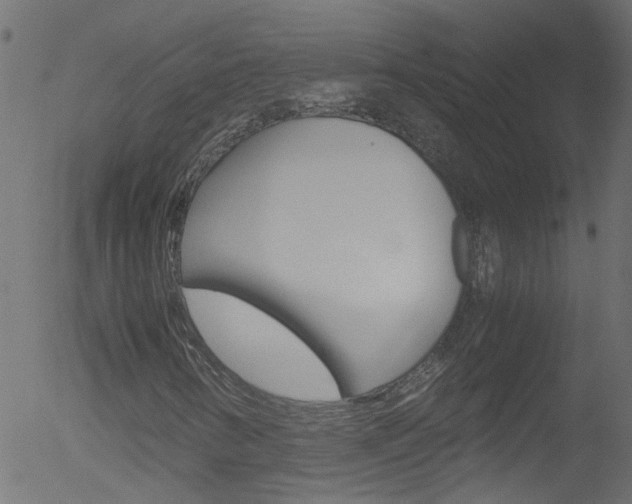 X0000052601346200507010903