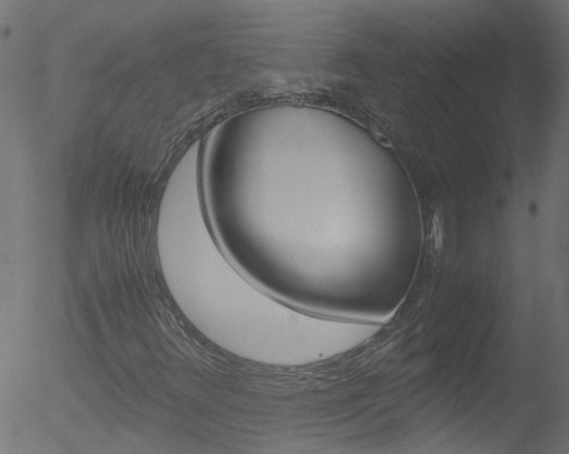 X0000052601348200507010903