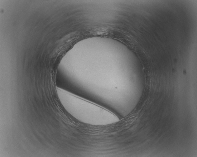 X0000052601442200507010901