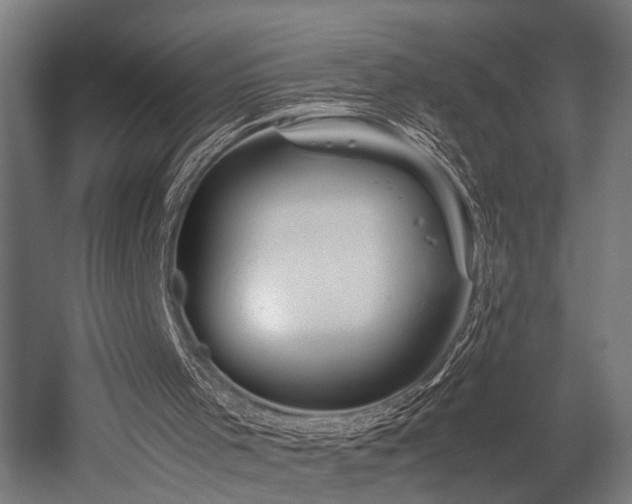 X0000052600001200507011209