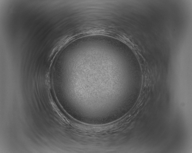 X0000052600002200507011209
