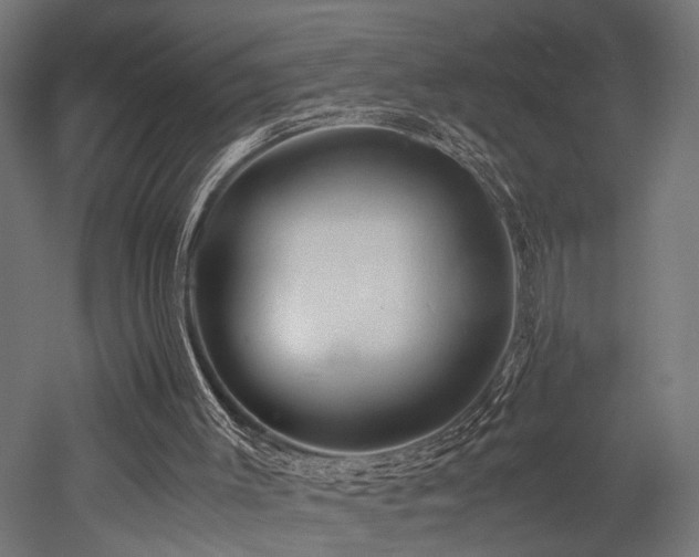 X0000052600003200507011209