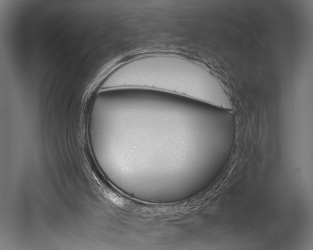 X0000052600005200507011209