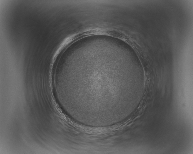 X0000052600006200507011209