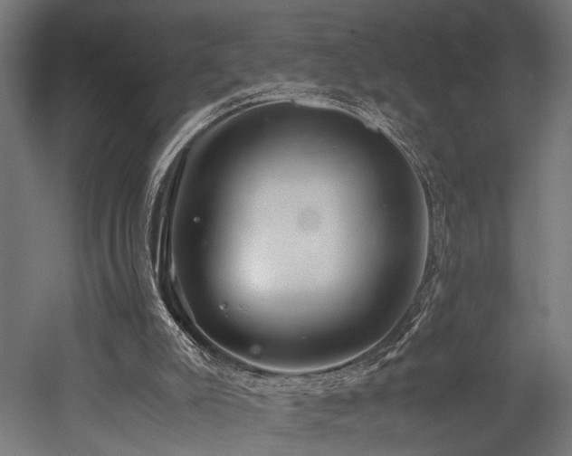 X0000052600007200507011209