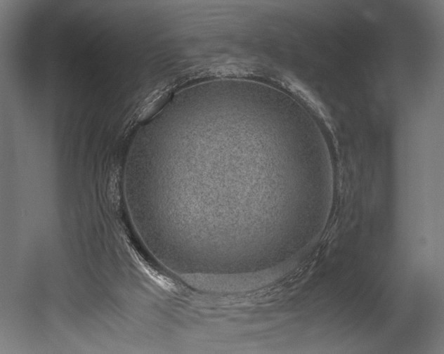 X0000052600009200507011209