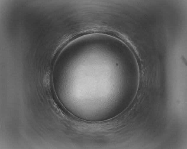 X0000052600010200507011209