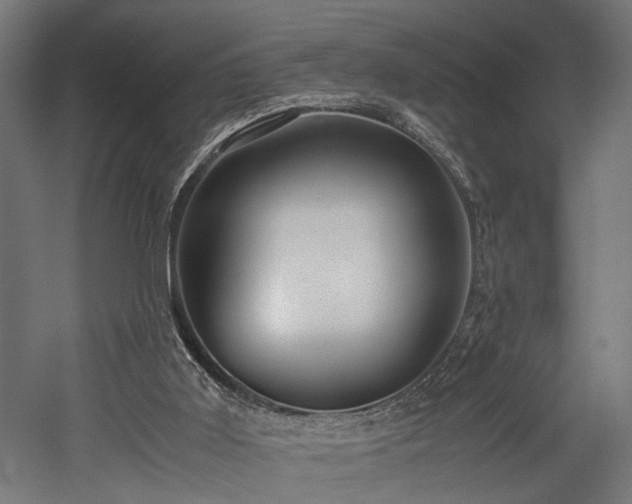X0000052600011200507011209
