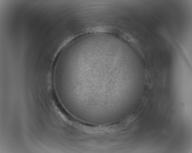 X0000052600012200507011209