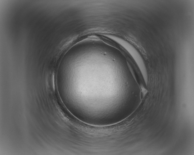 X0000052600014200507011208