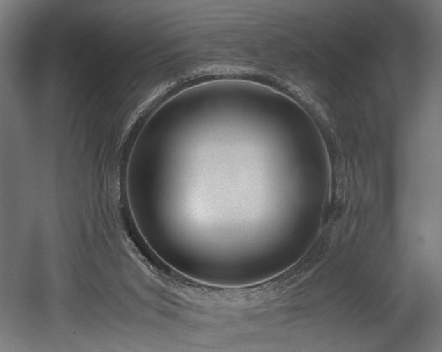 X0000052600015200507011208