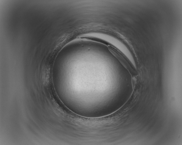 X0000052600018200507011208