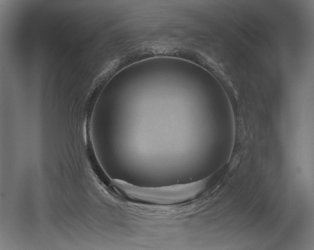 X0000052600019200507011208