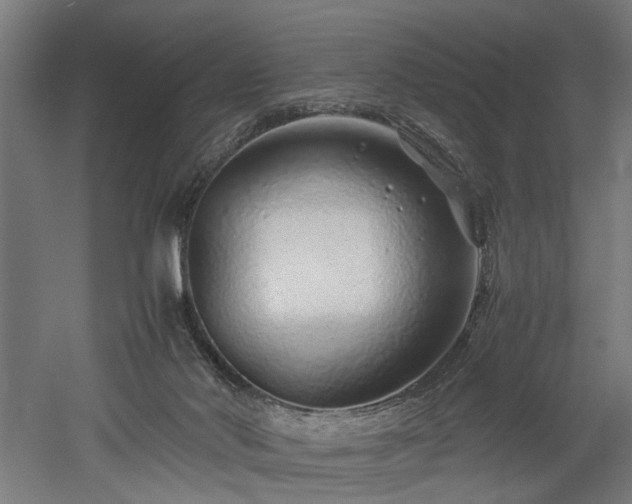X0000052600022200507011208