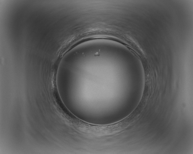 X0000052600023200507011208