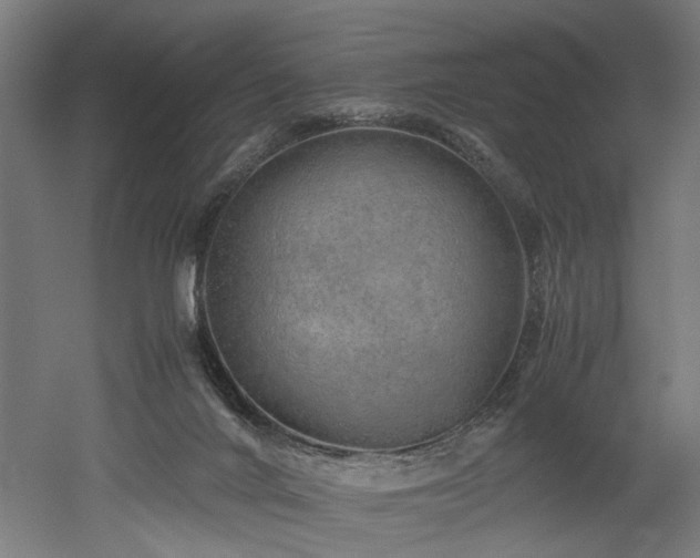 X0000052600024200507011208