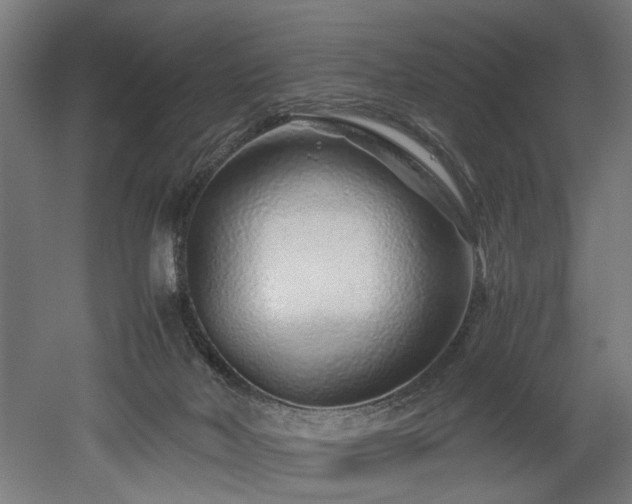 X0000052600026200507011208
