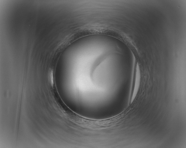 X0000052600027200507011208