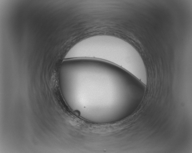 X0000052600029200507011208