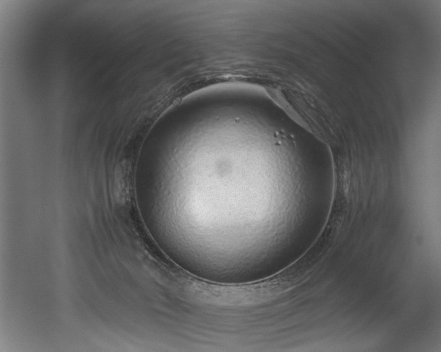 X0000052600030200507011208