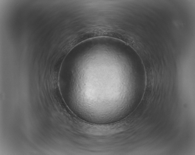 X0000052600034200507011208