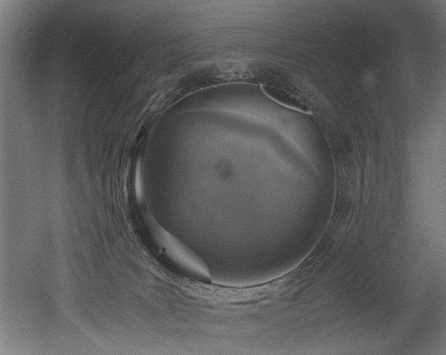 X0000052600035200507011208