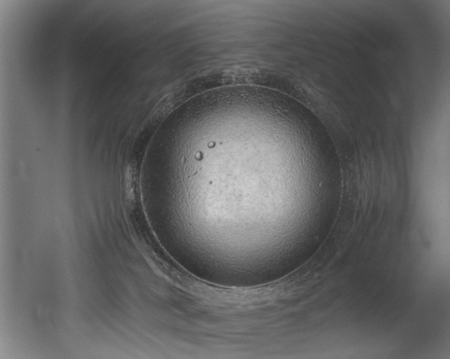 X0000052600038200507011208