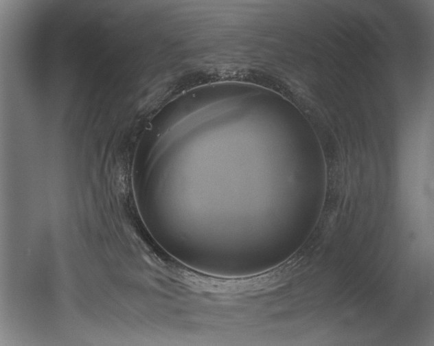 X0000052600039200507011208