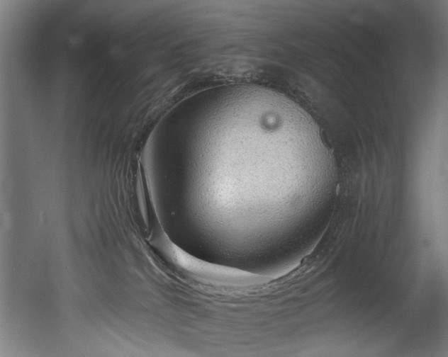 X0000052600040200507011208