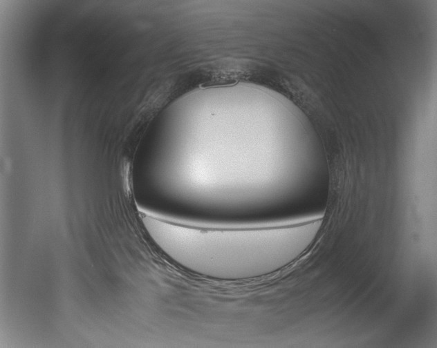 X0000052600041200507011208