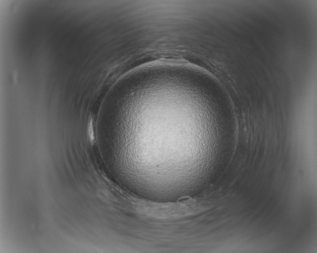 X0000052600042200507011208