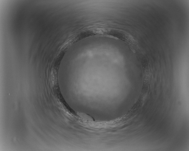 X0000052600043200507011208