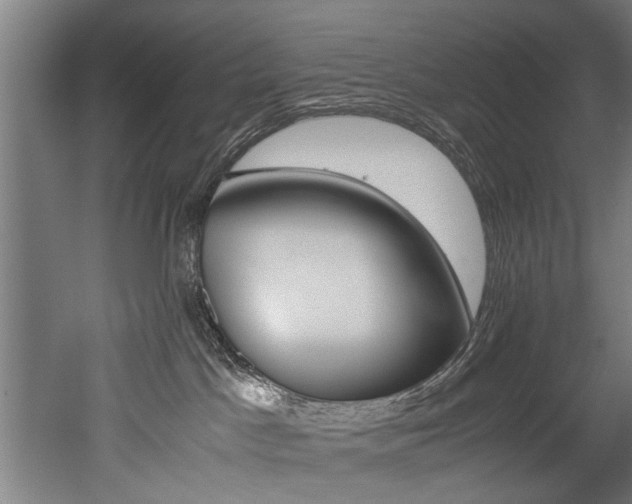 X0000052600045200507011208