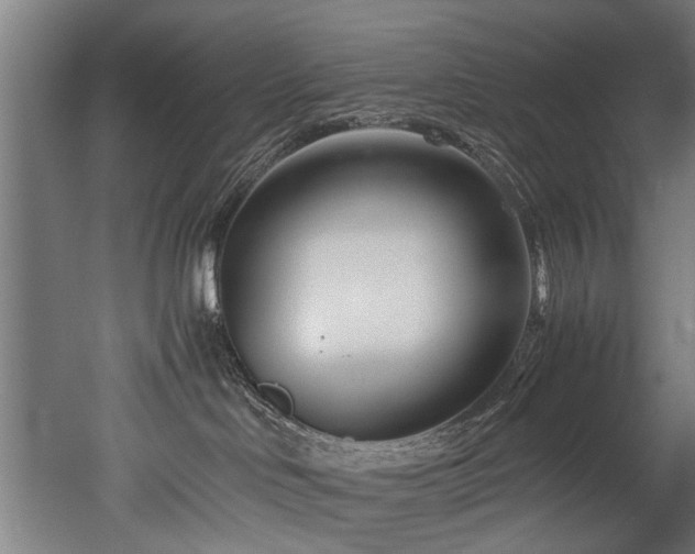 X0000052600046200507011208
