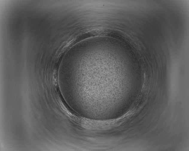 X0000052600048200507011208