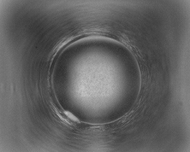X0000052600050200507011207
