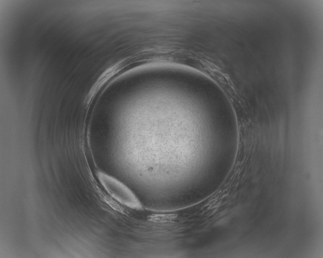 X0000052600051200507011207
