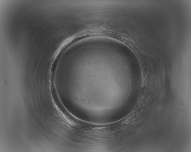 X0000052600054200507011207