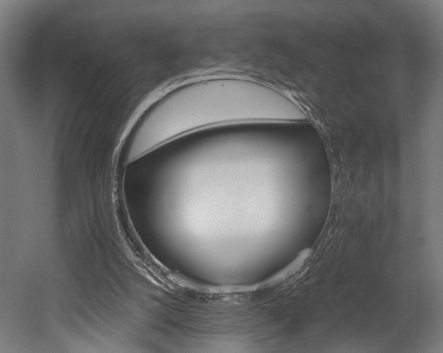 X0000052600056200507011207