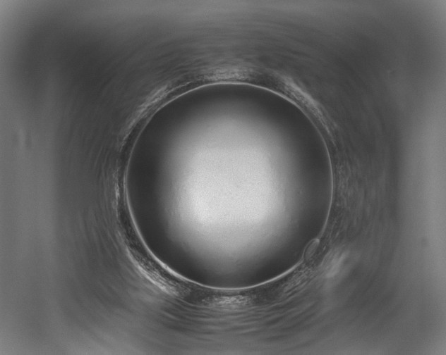 X0000052600059200507011207