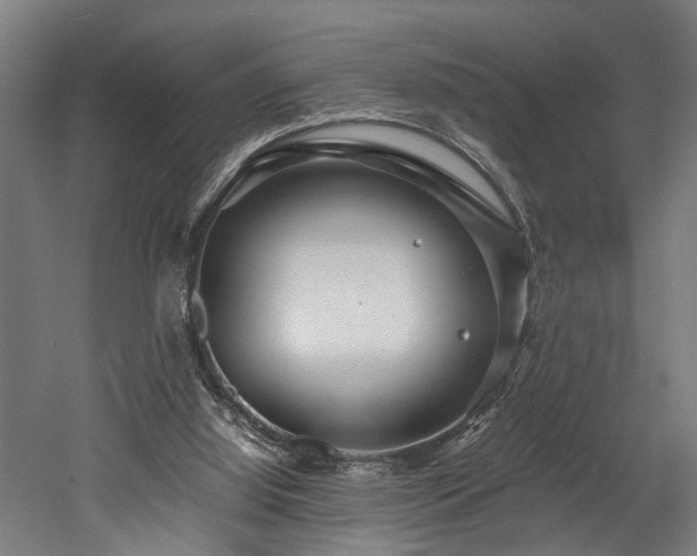 X0000052600060200507011207