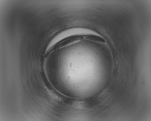 X0000052600066200507011207