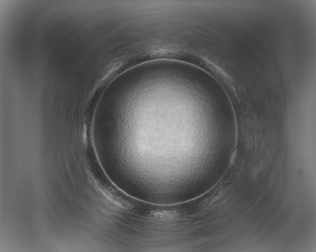 X0000052600067200507011207